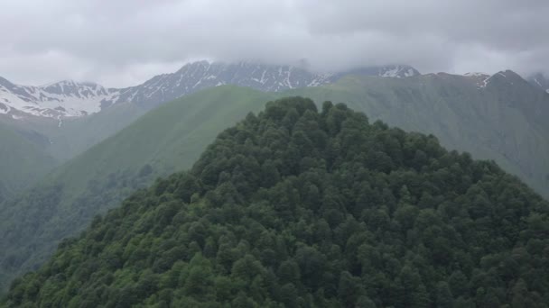 Kafkas Dağları beyaz güzellik doğa Gürcistan hayvanlar — Stok video