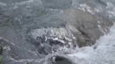 Kafkas Dağları nehir beyaz güzellik doğa Gürcistan hayvanlar waterwall