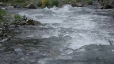 Kafkas Dağları nehir beyaz güzellik doğa Gürcistan hayvanlar waterwall