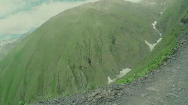 Caucasus mountains Kaukasische schoonheid natuur Georgië dieren — Stockvideo