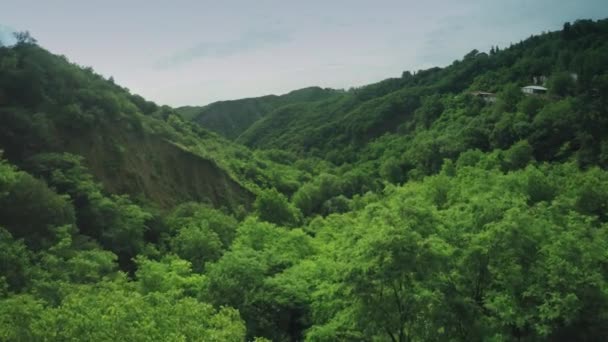 Кавказские горы эпические холмы полета и грузинская долина красоты природа грузия животных водозаборный беспилотник 4k — стоковое видео