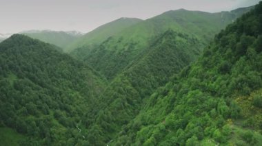 Tehlike yol Kafkas Dağları epik uçuş hills beyaz güzellik doğa Gürcistan hayvanlar waterwall dron 4k