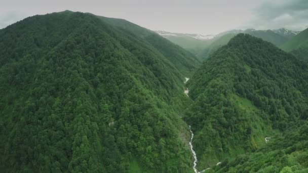 Cáucaso montañas río caucásico belleza naturaleza georgia animales waterwall drone 4k — Vídeos de Stock