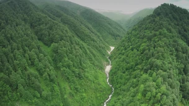 Kafkas Dağları nehir beyaz güzellik doğa Gürcistan hayvanlar waterwall dron 4k — Stok video