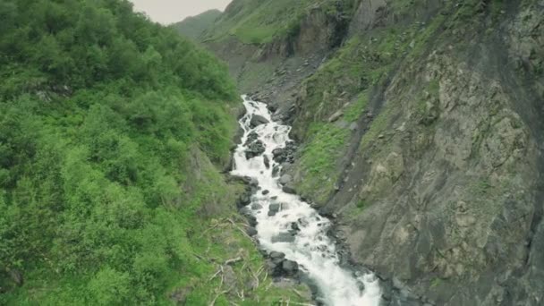 코 카 서 스 산 강 백인 아름다움 자연 조지아 동물 waterwall 드 론 4 k — 비디오