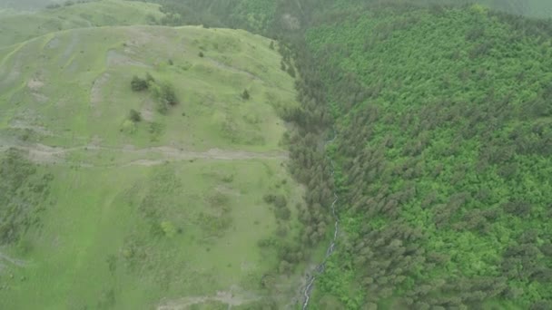 Cáucaso montanhas rio caucasiano beleza natureza geórgia animais waterwall drone 4k — Vídeo de Stock