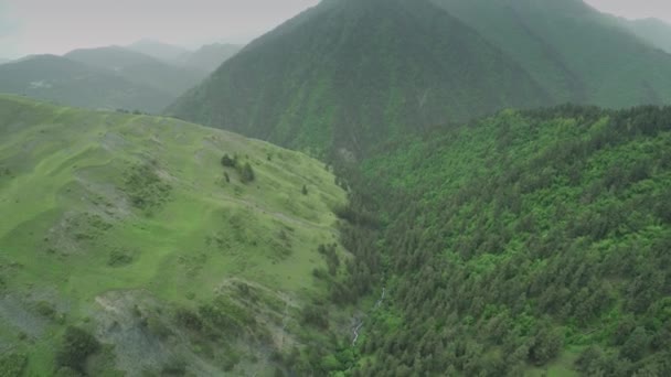 Kafkas Dağları nehir beyaz güzellik doğa Gürcistan hayvanlar waterwall dron 4k — Stok video