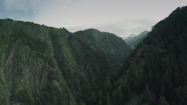 Kafkas Dağları epik uçuş hills beyaz güzellik doğa Gürcistan hayvanlar waterwall dron 4k
