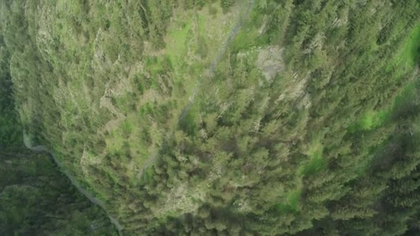 Kaukaz rzeki i śnieg hills kaukaski kobiece piękno przyrody Gruzji zwierząt waterwall drone 4k — Wideo stockowe