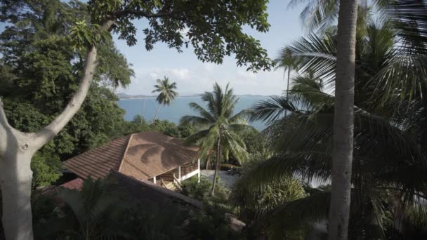 Tailandia mar isleño playa casas, montañas silvestres naturaleza árbol y palma — Vídeos de Stock