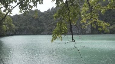 Tropikal Tay Orman Gölü, ada, vahşi dağlar doğa Milli Parkı gemi yat kayalar