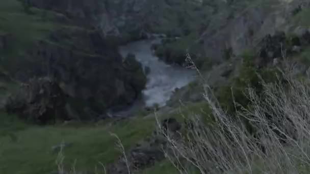 Kaukasus Felsen Berge Fluss kaukasische Schönheit Natur Georgien Tiere Wasserwand — Stockvideo