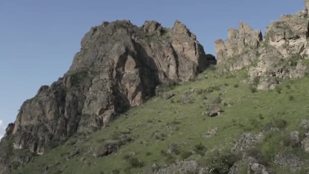 Cáucaso montanhas rio caucasiano beleza natureza geórgia animais waterwall — Vídeo de Stock