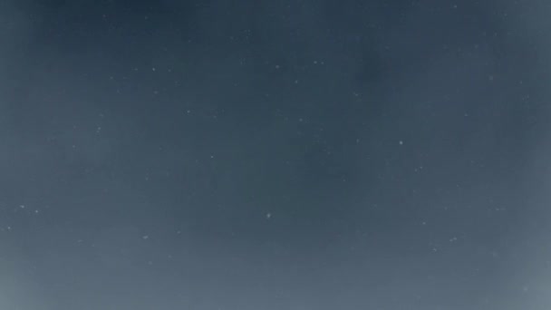 Queda de neve queda de neve no pinhal abeto país das maravilhas, inverno — Vídeo de Stock