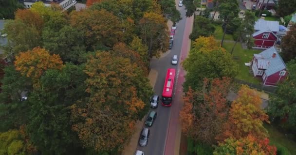 Красный автобус дрибе на городской дороге беспилотник полет, желтое дерево — стоковое видео