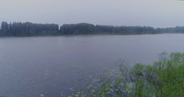 Bosque de niebla Lago drone vuelo naturaleza mañana al aire libre, puesta de sol — Vídeos de Stock