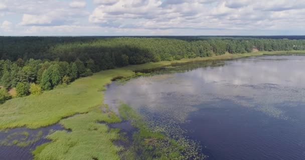 Lekníny jezero mořské řasy dron letu a borový les