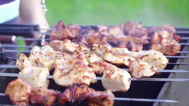 Febabs de carne de porco em câmera lenta para churrasco hora de verão na natureza — Vídeo de Stock