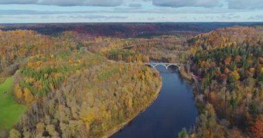 Sonbahar orman Sigulda şehir doğa, Gauya Nehri drone uçuş, köprü araba yukarıdan