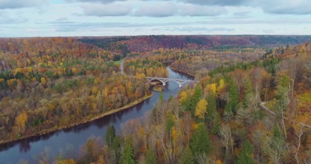 Bosque de otoño Sigulda naturaleza de la ciudad, vuelo del dron del río Gauya, unidad de coche puente desde arriba — Vídeos de Stock