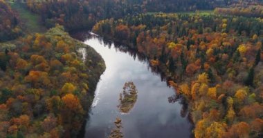Gauja Nehri sonbahar orman Sigulda şehir doğa, drone uçuş, köprü araba yukarıdan