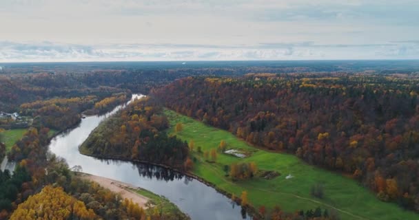 Gauja fiume Foresta autunnale Sigulda città natura, drone volo, ponte auto unità dall'alto — Video Stock