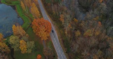 Siyah araba sürücü Sigulda de yol. Köprü, sonbahar road, drone uçuş, sarı orman