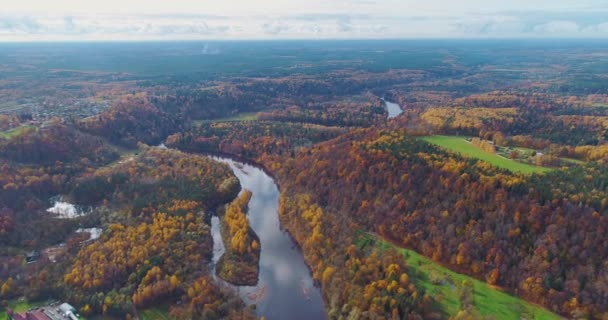 Gauja fiume Foresta autunnale Sigulda città natura, drone volo, ponte auto unità dall'alto — Video Stock
