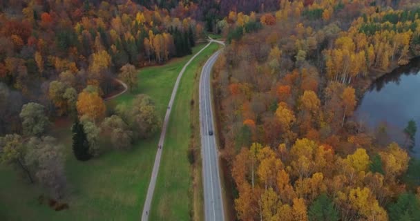 Czarny samochód jazdy na drogach w Sigulda. Most, jesień road, lotu drona, żółty lasu — Wideo stockowe