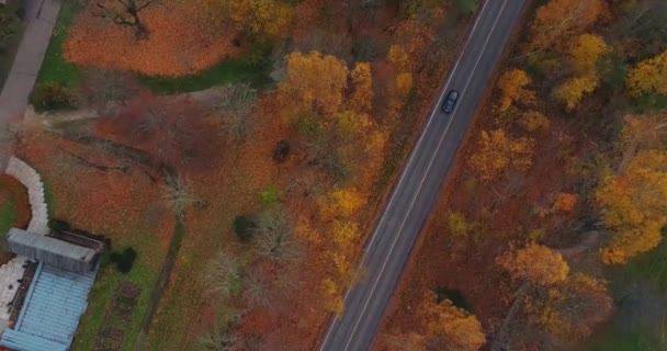 Чорний автомобілем на дорозі в місті Sigulda. міст, осінній дороги, drone польоту, жовтого лісу — стокове відео