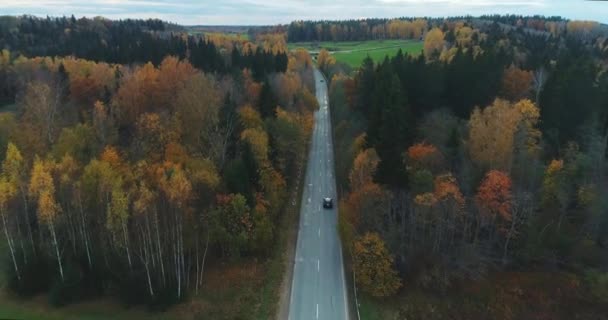 Чорний автомобілем на дорозі в місті Sigulda. міст, осінній дороги, drone польоту, жовтого лісу — стокове відео