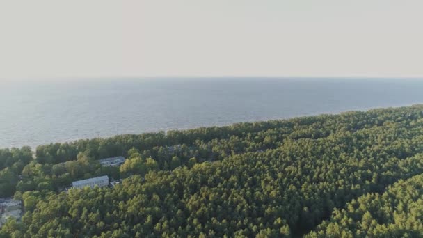 ユールマラにある森と海無人飛行ラトビア、空中、ドローン、屋外、公園、道路、海、自然 — ストック動画