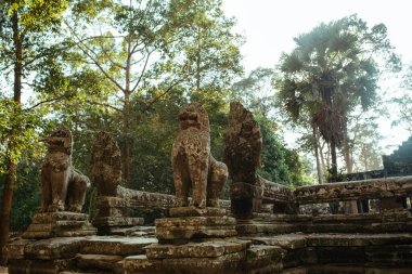Agkor Wat tapınağının duvarlarında resmi ve mağara resimleri var.