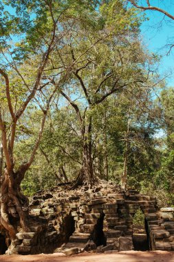 Kamboçya 'daki Angkor Wat Tapınağı Asya' daki Siem Reap şehri yakınlarında.