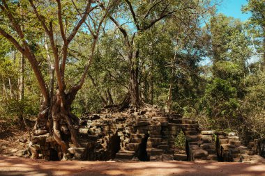 Kamboçya 'daki Angkor Wat Tapınağı Asya' daki Siem Reap şehri yakınlarında.