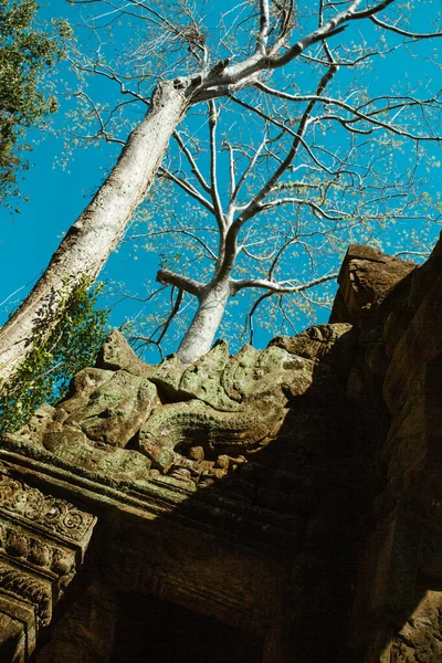 Angkor Wat-tempelet i Kambodsja nær Siem Reap i Asia – stockfoto