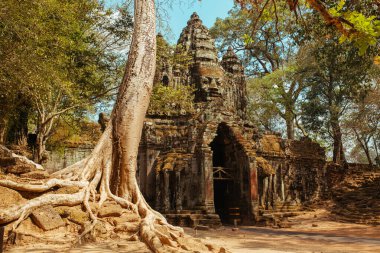 Asya 'daki Siem Reap şehrinin yakınlarındaki Kamboçya Angkor Wat Tapınağı' nda taş heykeller.