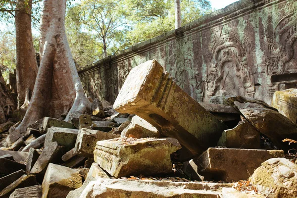 Les arbres poussent à travers les pierres au temple Angkor Wat au Cambodge — Photo