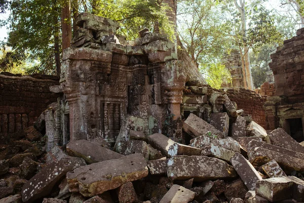 Drzewa rosną poprzez kamienie w świątyni Angkor Wat w Kambodży — Zdjęcie stockowe