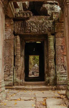 Kamboçya 'daki Angkor Wat Tapınağı Asya' daki Siem Reap şehri yakınlarında.