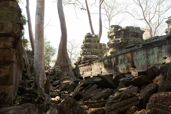 Les arbres poussent à travers les pierres au temple Angkor Wat au Cambodge — Photo