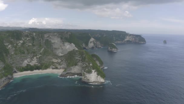 Kelingking Beach op Nusa Penida Island in Indonesië bij Bali drone schot 4k — Stockvideo