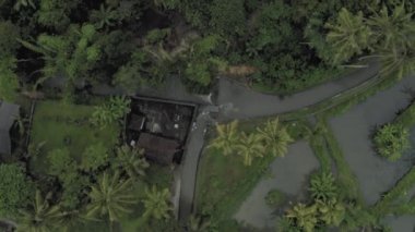 Bali Adası 'ndaki palmiye ağaçları arasında nehir 4k drone uçuşu