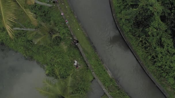 巴厘岛的棕榈树之间的河流4k无人驾驶飞机飞行 — 图库视频影像