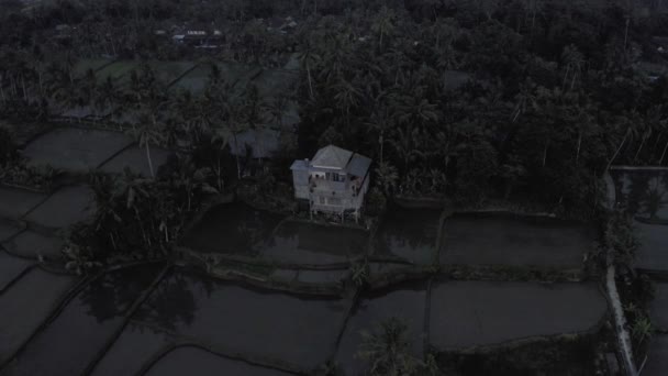 Noc na polu ryżowym na wyspie Bali — Wideo stockowe