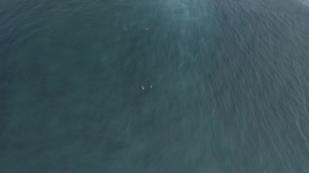 Surfing in Batu Balong beach Bali Island 4K Drone flight — Stock Video