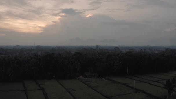 Batur Agung wulkan i pole ryżowe na Bali 4k strzał drona — Wideo stockowe