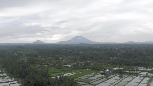 Batur Agung vulcão e campo de arroz em Bali 4K Drone tiro — Vídeo de Stock