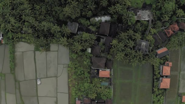 Case de sat și câmpuri de orez pe insula Bali 4K Drone Zbor — Videoclip de stoc