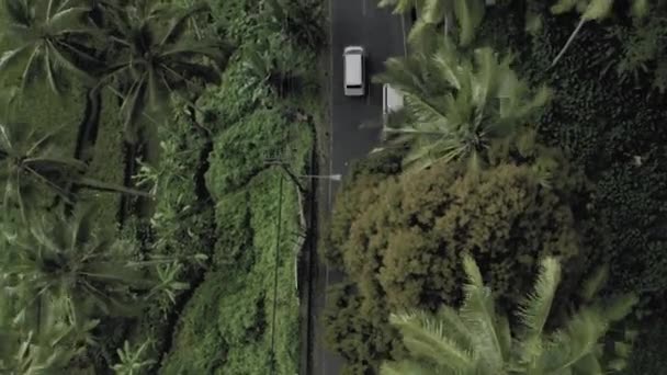Αυτοκίνητα και ποδήλατα στο δρόμο σε τροπικό δάσος στο νησί Μπαλί 4k Drone πτήση — Αρχείο Βίντεο